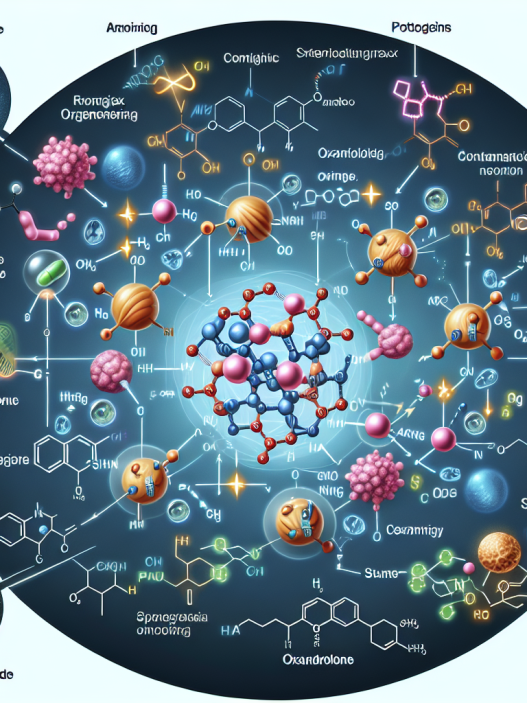 Synergistic compounds for oxandrolone